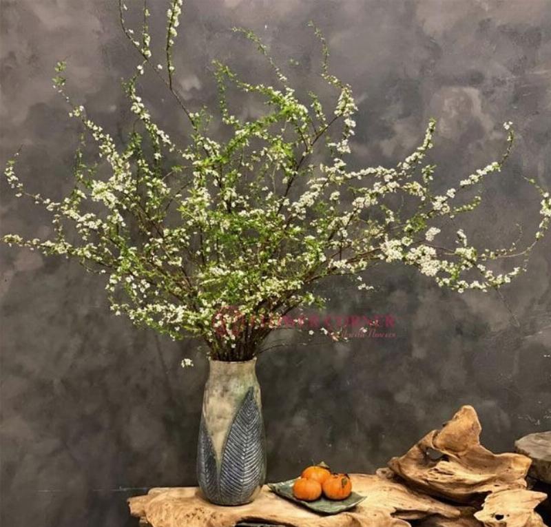 Một bộ sưu tập các bình hoa có chất liệu và kiểu dáng khác nhau, tất cả đều phù hợp để cắm hoa tuyết mai